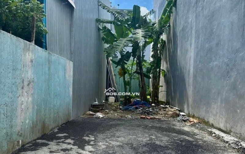 Lô đất Kiệt ô tô 5m K155 TRẦN ĐÌNH NAM thông khu Phước lý